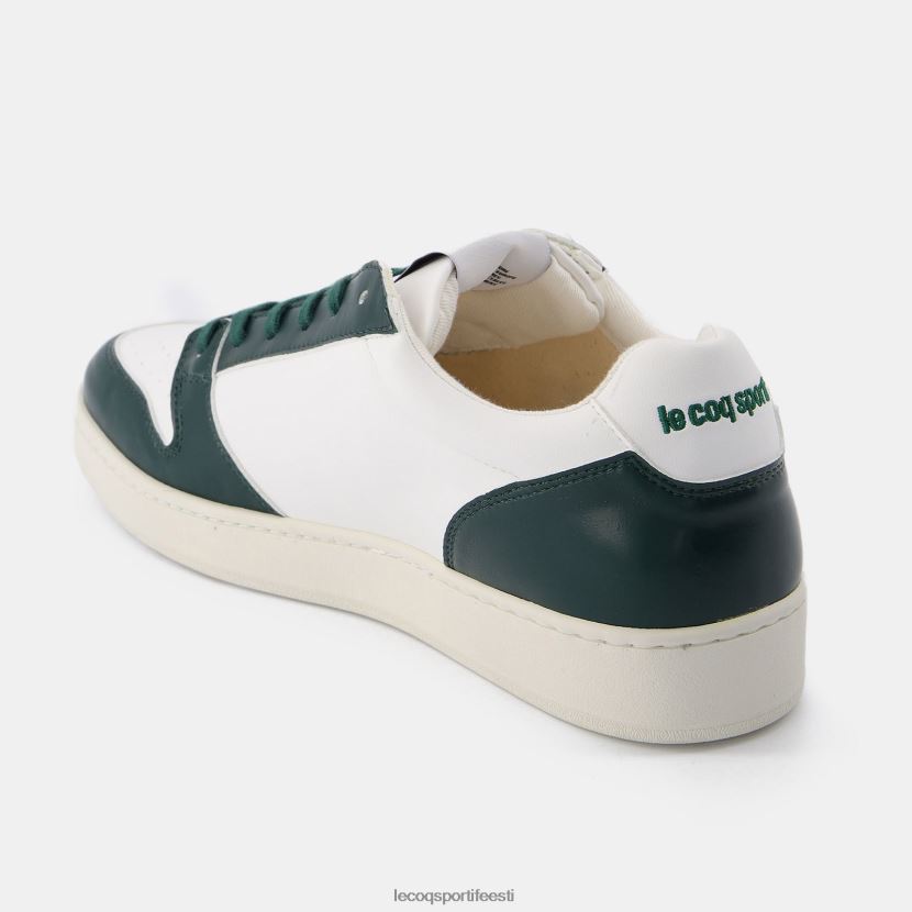 ee Le Coq Sportif kingad mehed kingad terra valged valge TT862D255