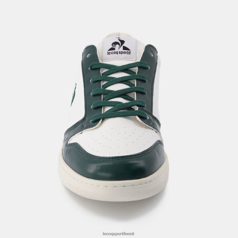 ee Le Coq Sportif kingad mehed kingad terra valged valge TT862D255